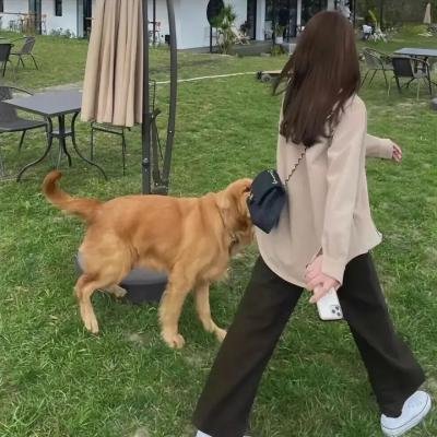 狼人：身边野兽
